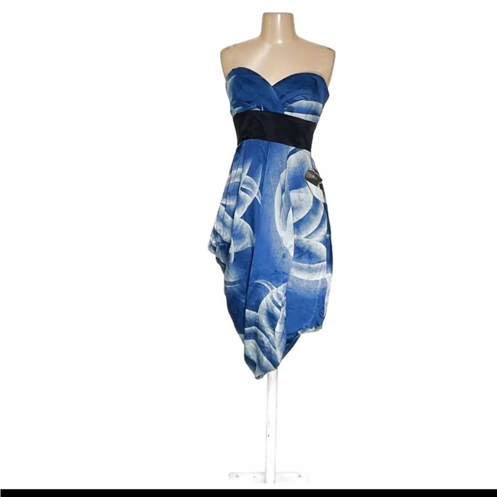 NWT Size 6 BCBG strapless silk dress